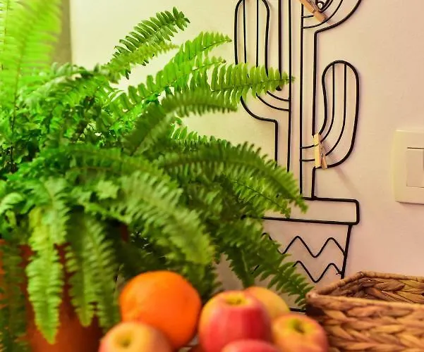 Guest house Viatorem Zadar